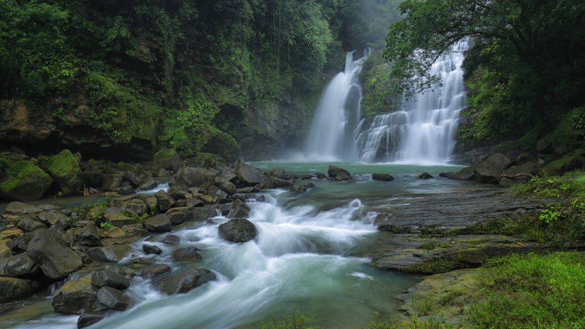 Falls in the forest