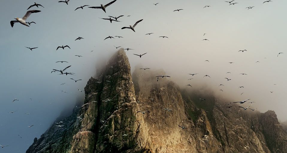 Clouds cover a seabird rookery high on a sea stack cliff on Boreray Island, St. Kilda archipelago, Scotland
