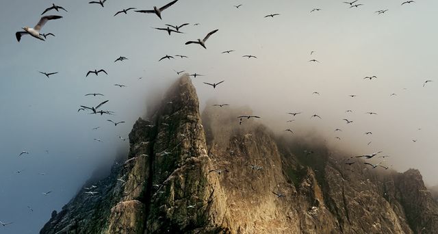 Clouds cover a seabird rookery high on a sea stack cliff on Boreray Island, St. Kilda archipelago, Scotland