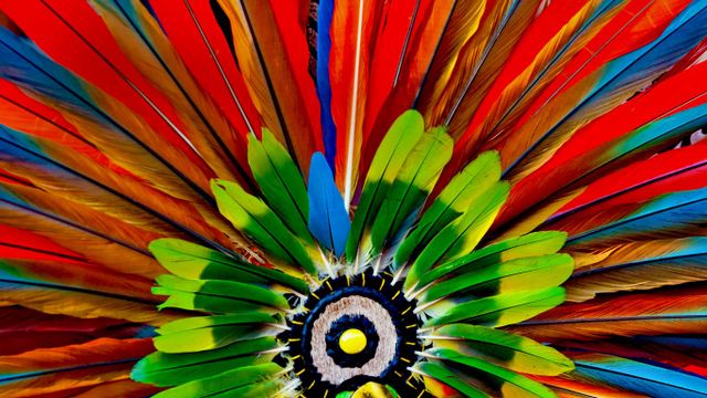 Aztec headdress detail
