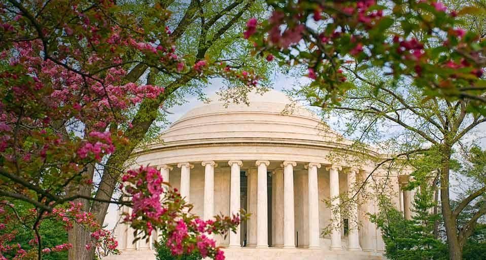 Cherry blossoms frame the Jefferson Memorial in Washington, D.C.