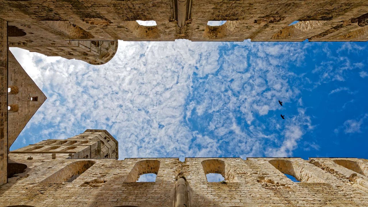 Deux oiseaux survolant l’abbaye de Jumièges, Seine-Maritime, Normandie 