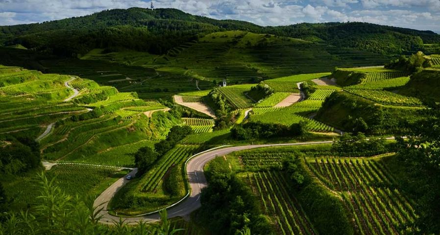 Vineyards and windy roads in the Kaiserstuhl region of Germany