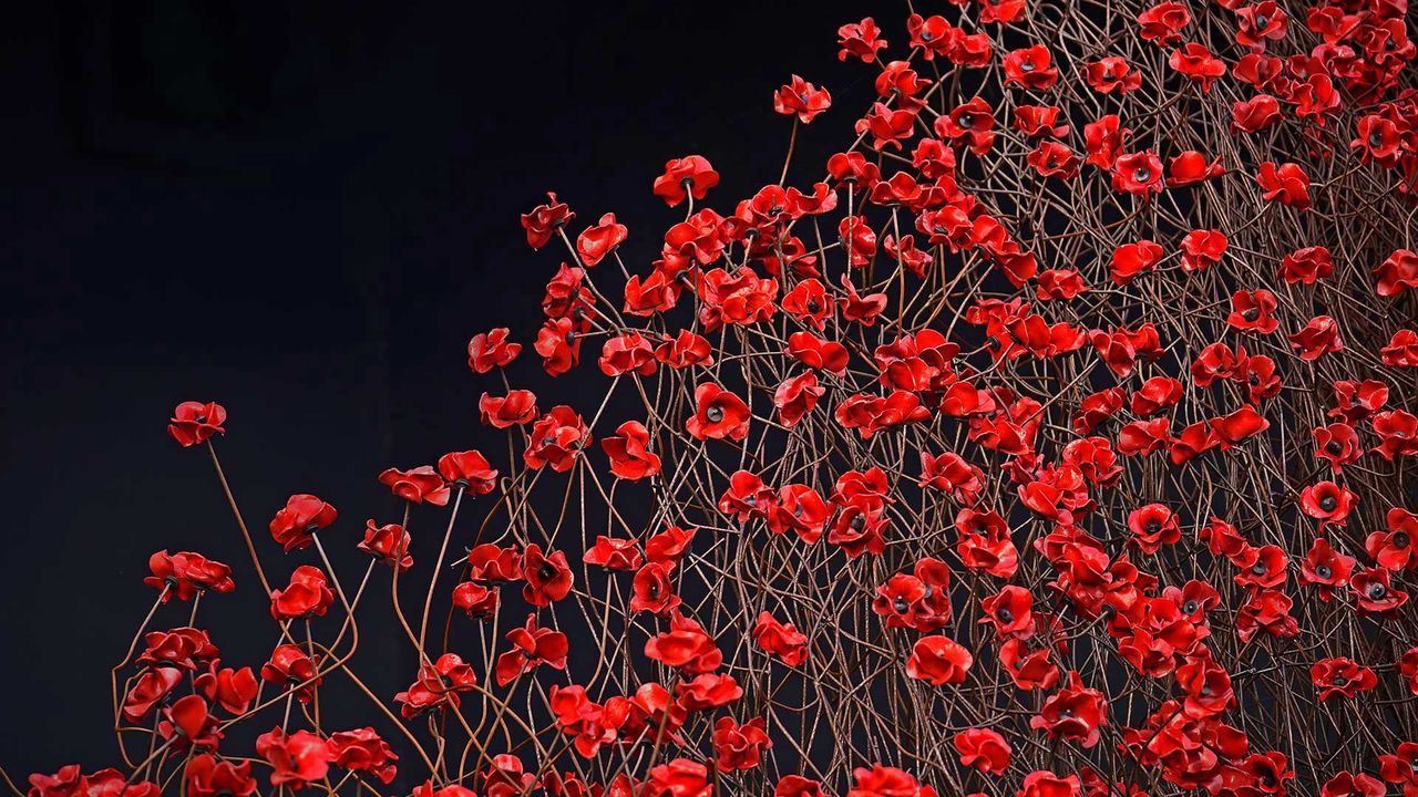 帝国战争博物馆北馆内的装置艺术‘Blood Swept Lands and Seas of Red’，英国曼彻斯特
