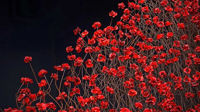 帝国战争博物馆北馆内的装置艺术‘Blood Swept Lands and Seas of Red’，英国曼彻斯特