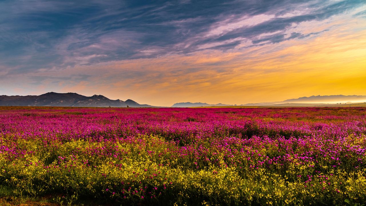 Pretty Paarl