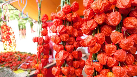 继续改进插件扩展框架再续