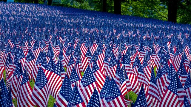 Field of flags displayed for Memorial Day, Boston, Massachusetts