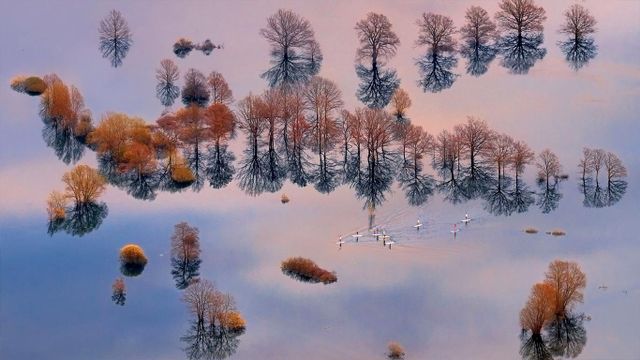 「プラニア平原の洪水」スロヴェニア, プラニア