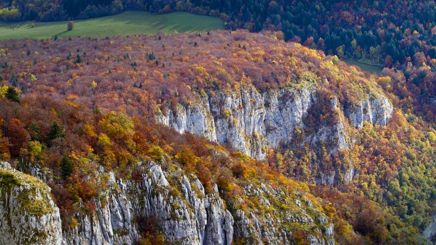 Mont Revard en automne dans le parc naturel régional du Massif des Bauges, Savoie, Rhône-Alpes