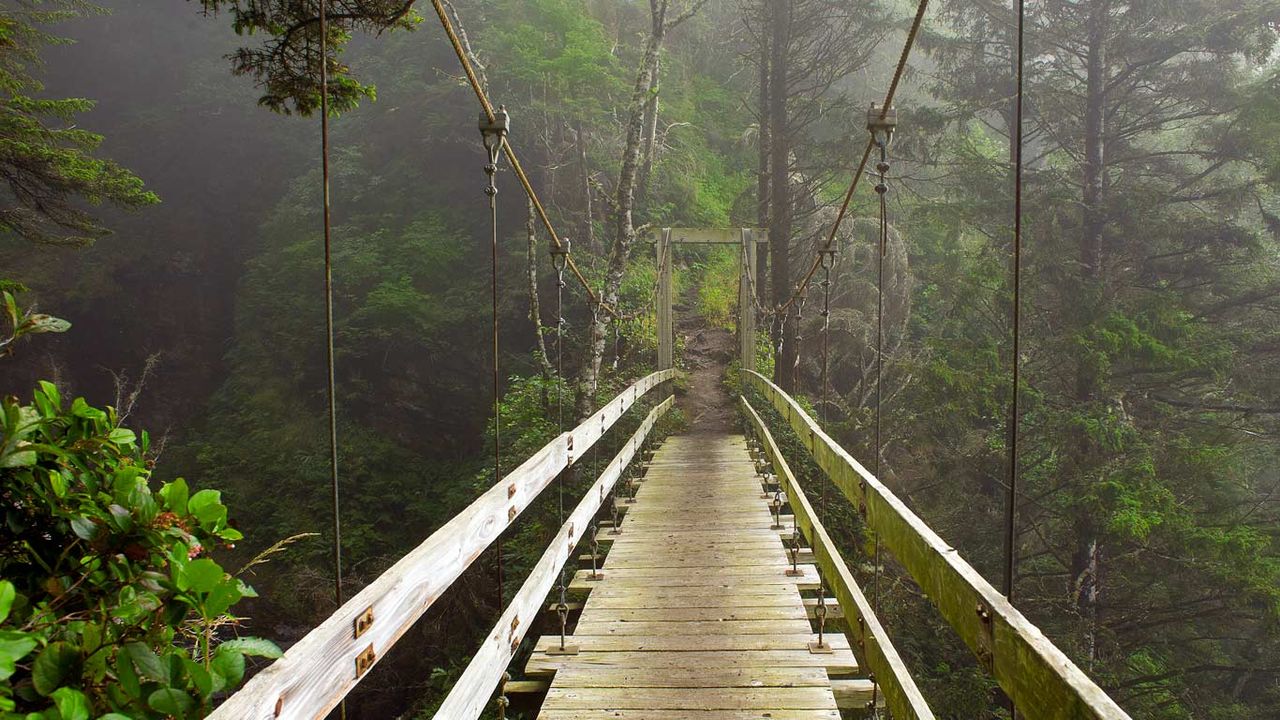 Pont suspendu à Tsocowis Creek, île de Vancouver, Colombie-Britannique, Canada