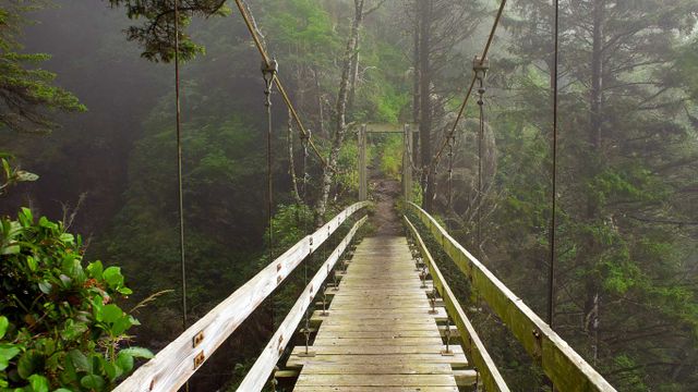 Pont suspendu à Tsocowis Creek, île de Vancouver, Colombie-Britannique, Canada