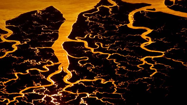 Suwannee River delta, Florida
