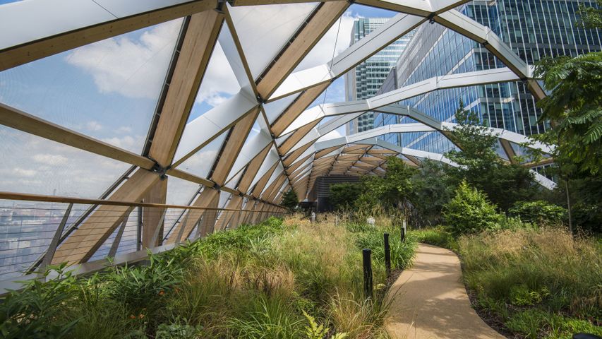 A global garden