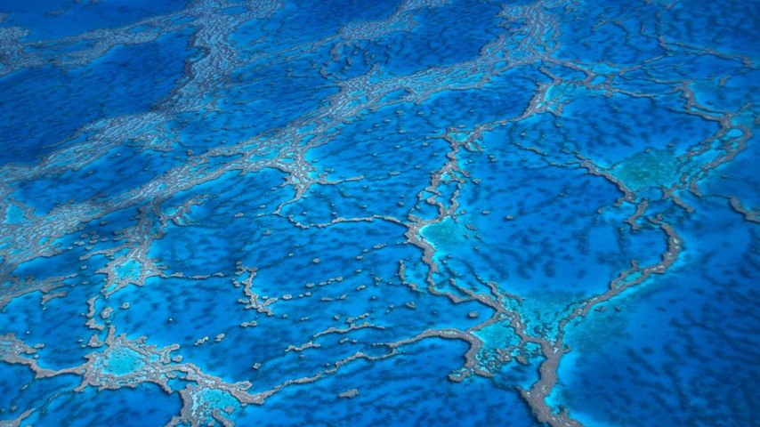 Luftansicht des Great Barrier Reef (Großes Barriereriff), Queensland, Australien