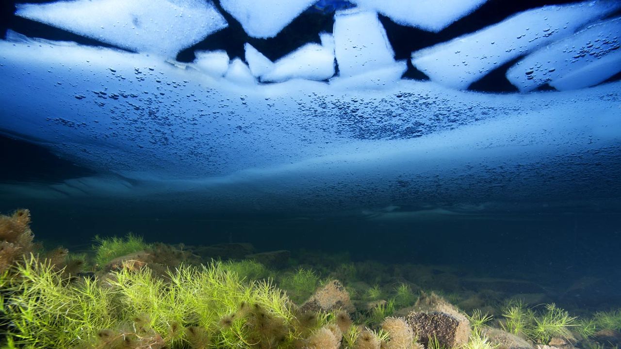 Ice on the surface of Llyn Idwal, Snowdonia 