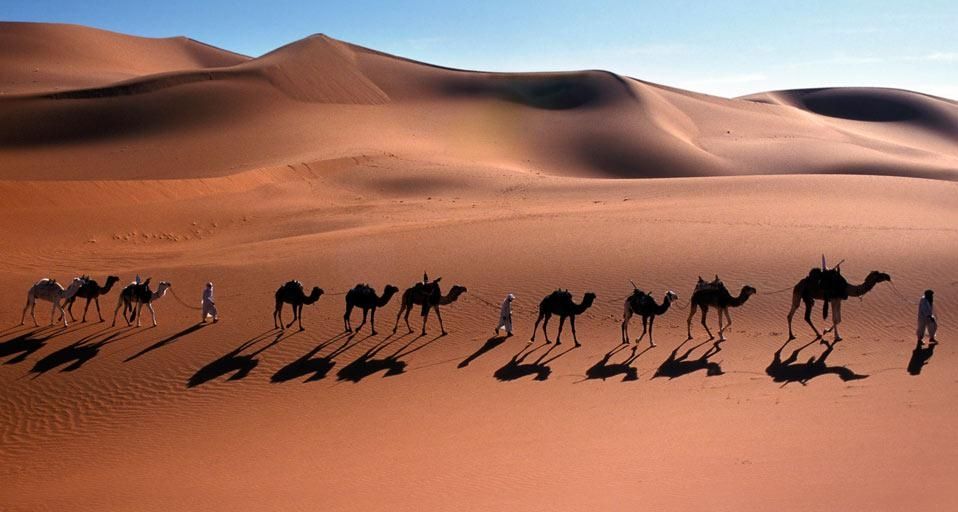 Camel caravan through the Sahara Desert near Djanet, Algeria