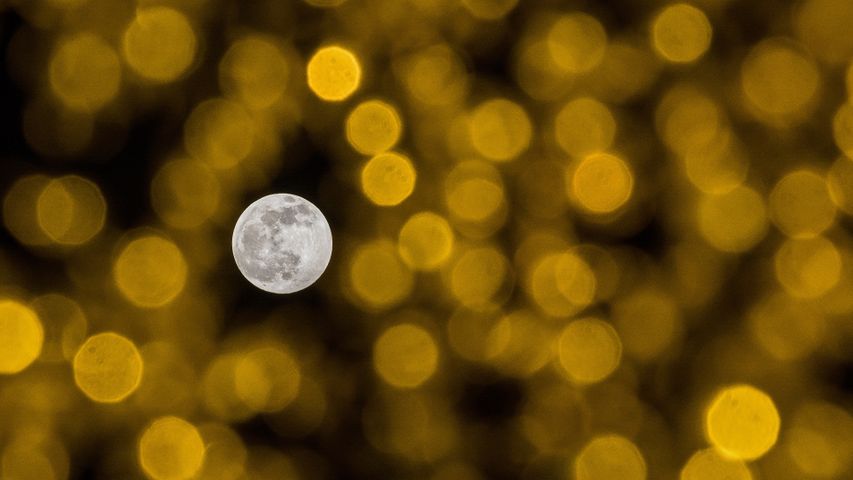 The December full moon seen through holiday lights
