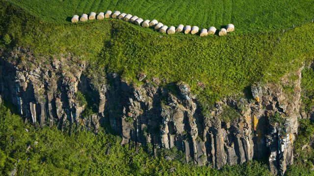 Orgues basaltiques et bottes de pailles à Murol, parc des Volcans d'Auvergne 