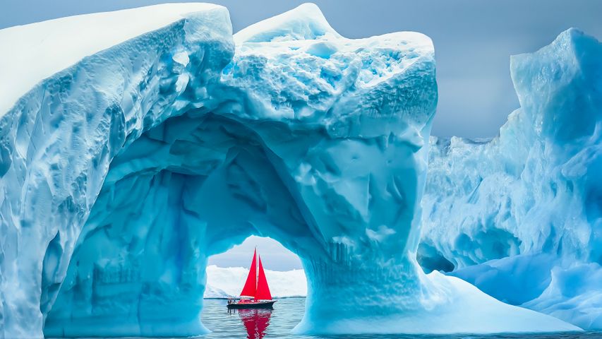 Sailing with icebergs