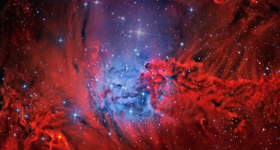 Nébuleuse de la Fourrure de renard dans la constellation de la Licorne