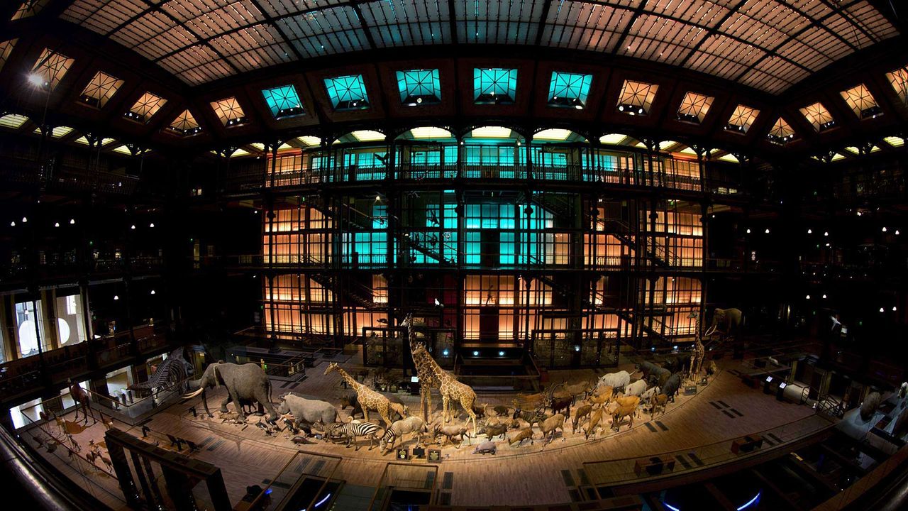 Grande galerie de l’Évolution, Muséum national d’histoire naturelle à Paris 