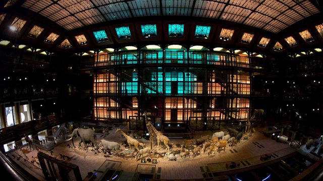 Grande galerie de l’Évolution, Muséum national d’histoire naturelle à Paris 