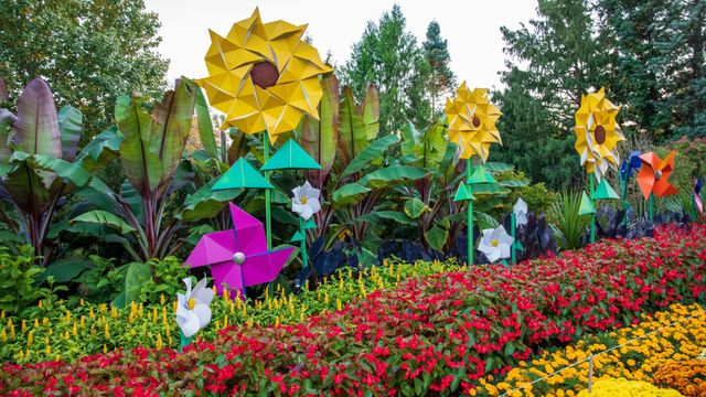 Atlanta Botanical Garden, Atlanta, Georgia