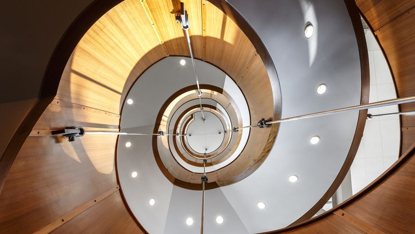 The Feature Staircase in the Macodrum Library, Ottawa 