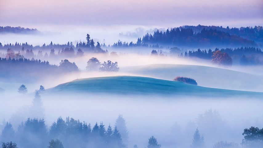 艾德林根高地上的晨雾，普法芬温克尔，巴伐利亚，德国 