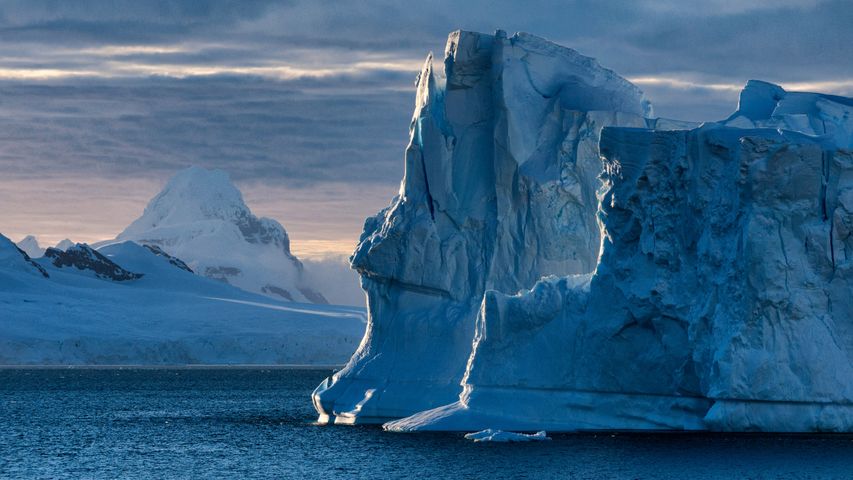 Blaue Eisberge in der Nähe von Cuverville Island, Antarktische Halbinsel, Antarktika