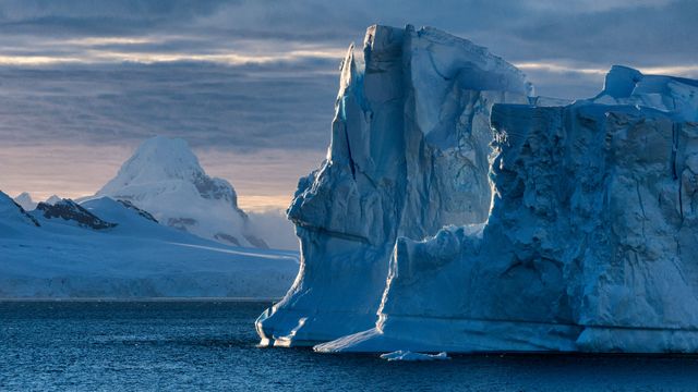 Icebergs near Cuverville Island, Antarctica