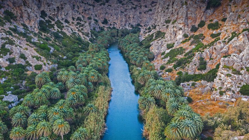 Gorges de Préveli bordées par des forêts de palmiers, Crète, Grèce