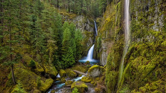 Wahclella Falls in the Columbia River Gorge, Oregon