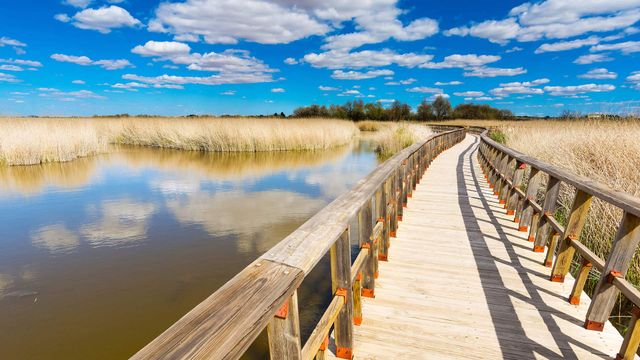 Pasarela entre las islas del parque nacional de las Tablas de Daimiel, Ciudad Real