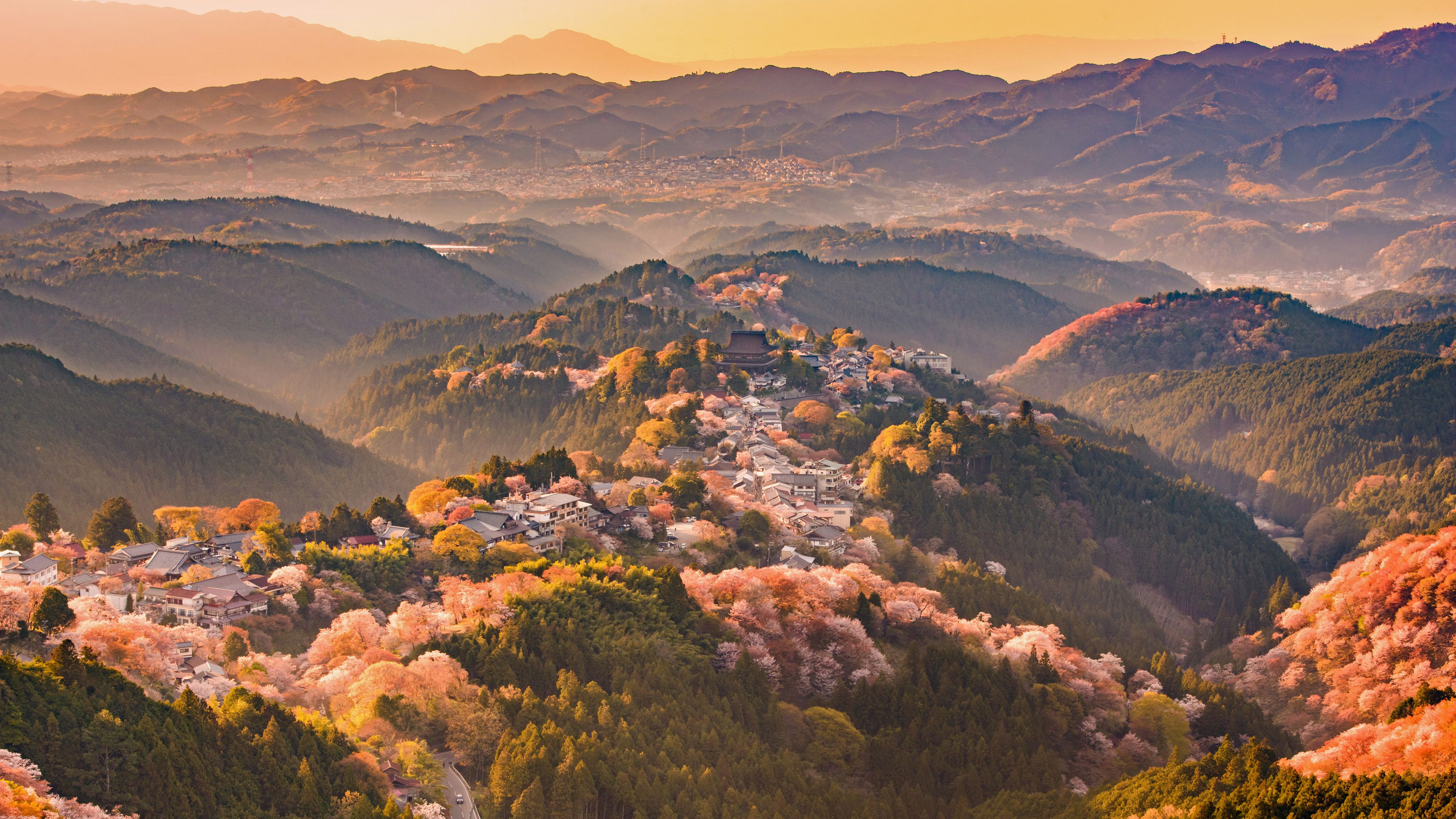 吉野山の桜, 奈良県 吉野郡 - Bing Gallery