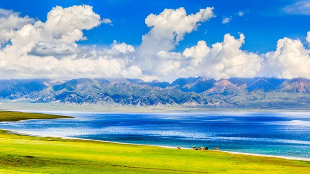 夏季的赛里木湖,博尔塔拉蒙古自治州博乐县, 中国新疆维吾尔自治区