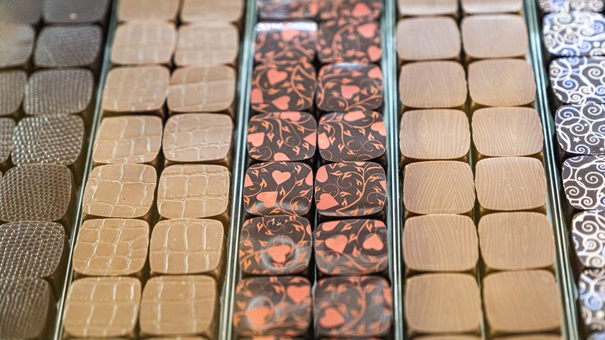 Différents types de chocolats dans une vitrine