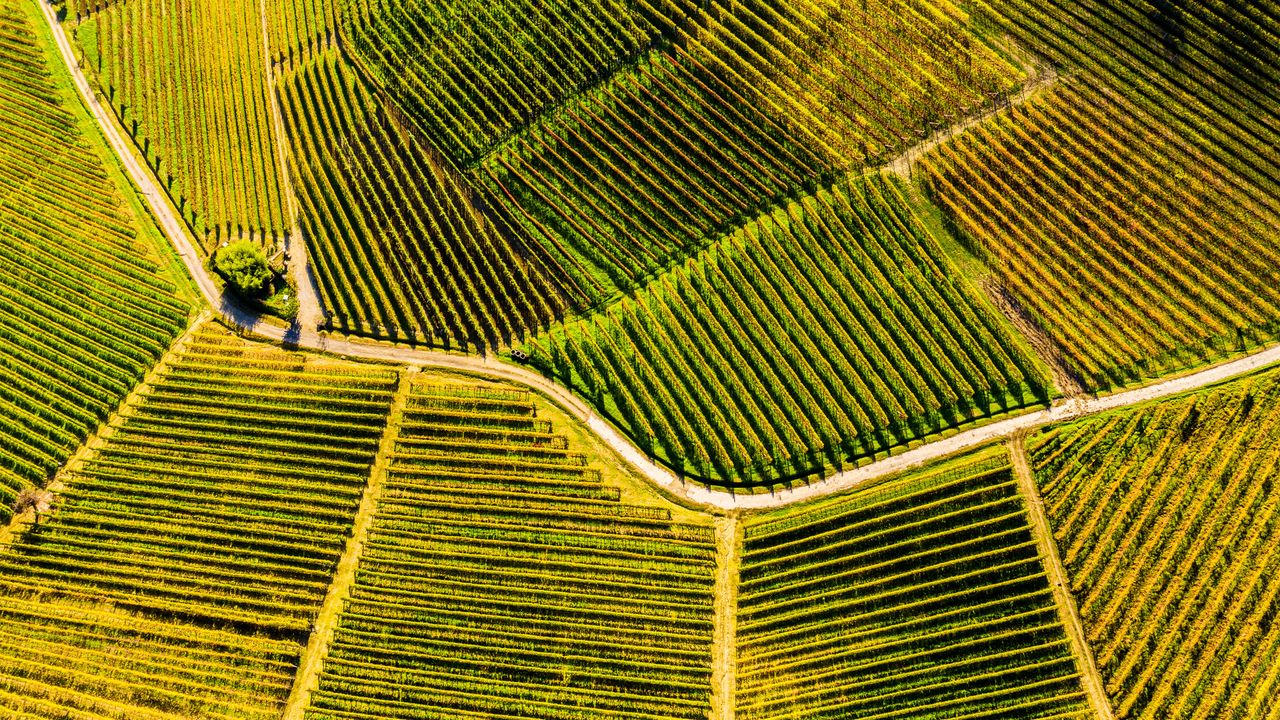 Langhe, sito UNESCO in Piemonte