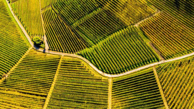 Langhe, sito UNESCO in Piemonte