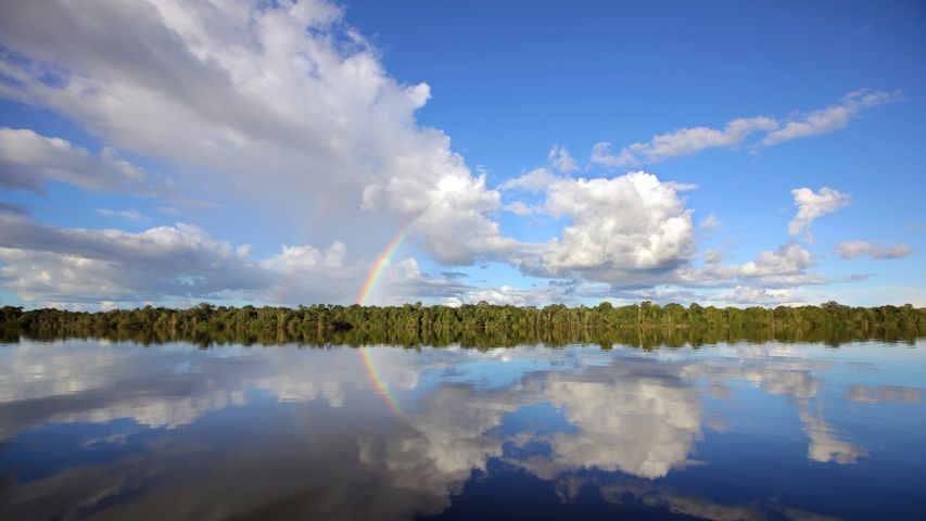 内格罗河，亚马逊河流域，巴西