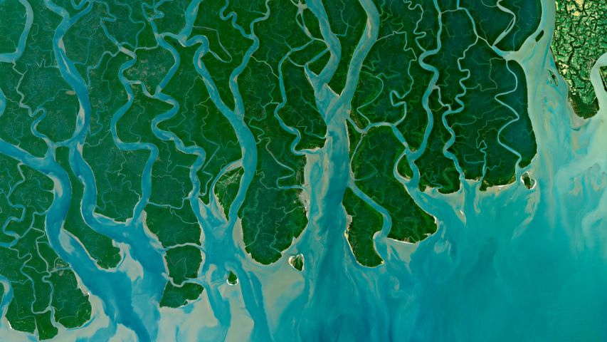 A tangled delta