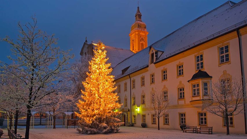 Weihnachtsbaum vor dem Landratsamt in Freising, Stadtteil Neustift, Bayern, Deutschland
