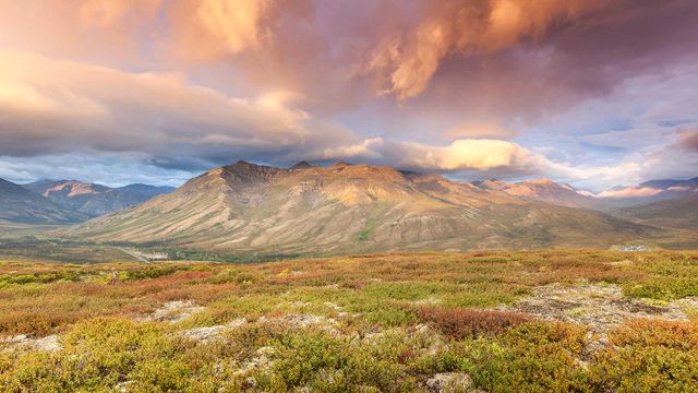 The Goldensides trailhead in Tombstone Territorial Park, Yukon