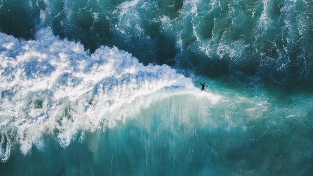 High-angle view of man surfing in the sea, New South Wales