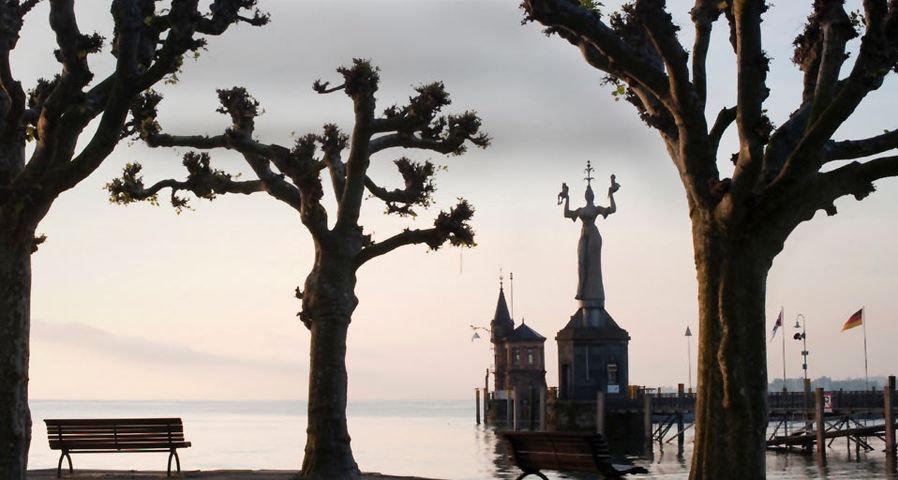 Verlassene Bänke stehen zwischen kahlen Bäumen im Hafen von Konstanz am Bodensee, Baden Württemberg