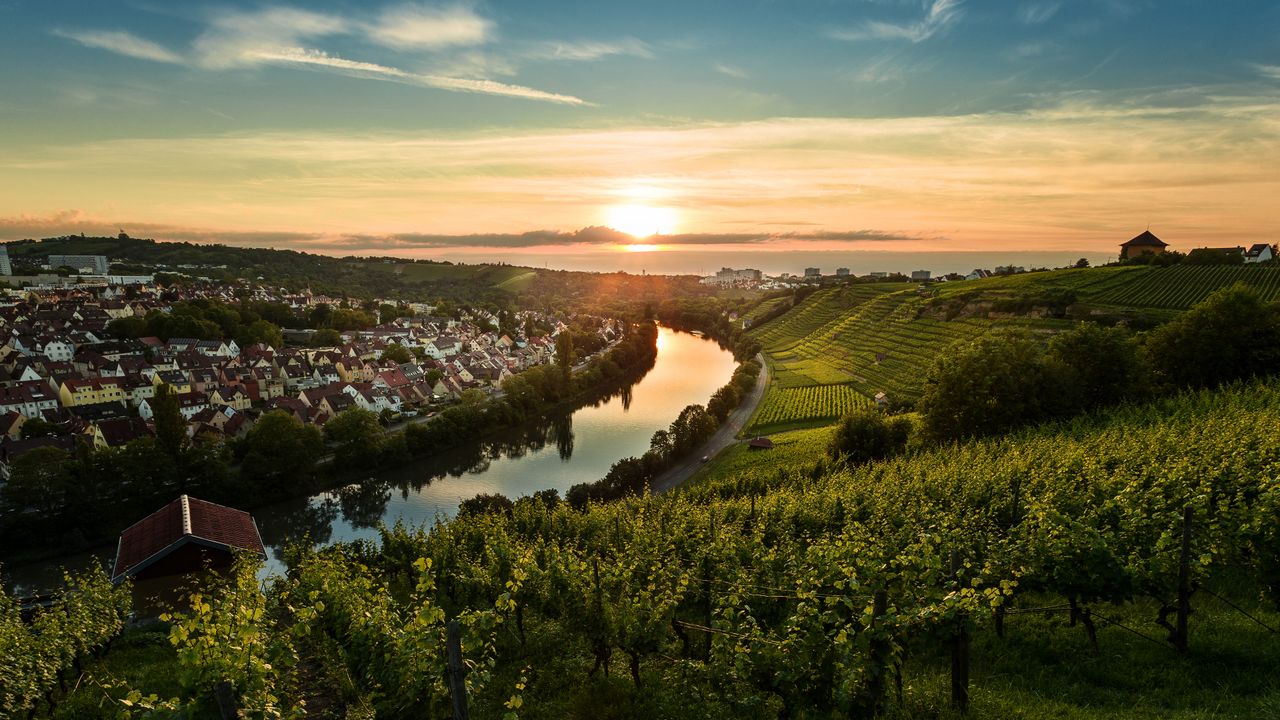 Sonnenuntergang über den Weinbergen von Steinhaldenfeld im Neckartal bei Stuttgart, Baden-Württemberg