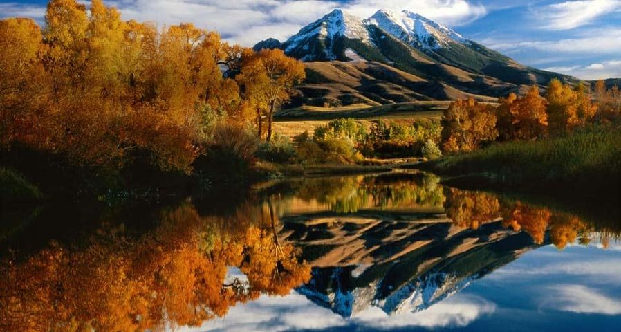 Autumn colors and Emigrant Peak, Paradise Valley, Montana, USA