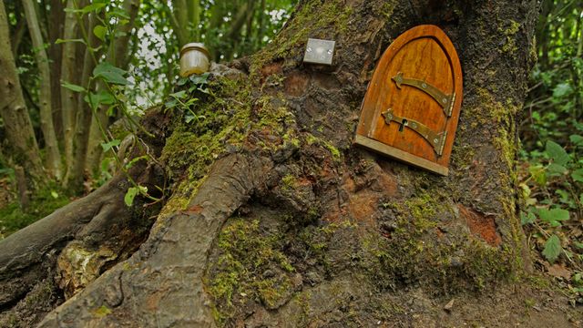 Ashdown Forest, home of Winnie-the-Pooh, England