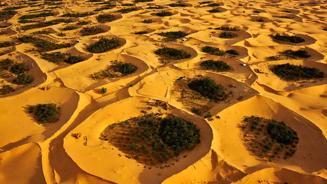 Adjder oasis near Timimoun, Algeria